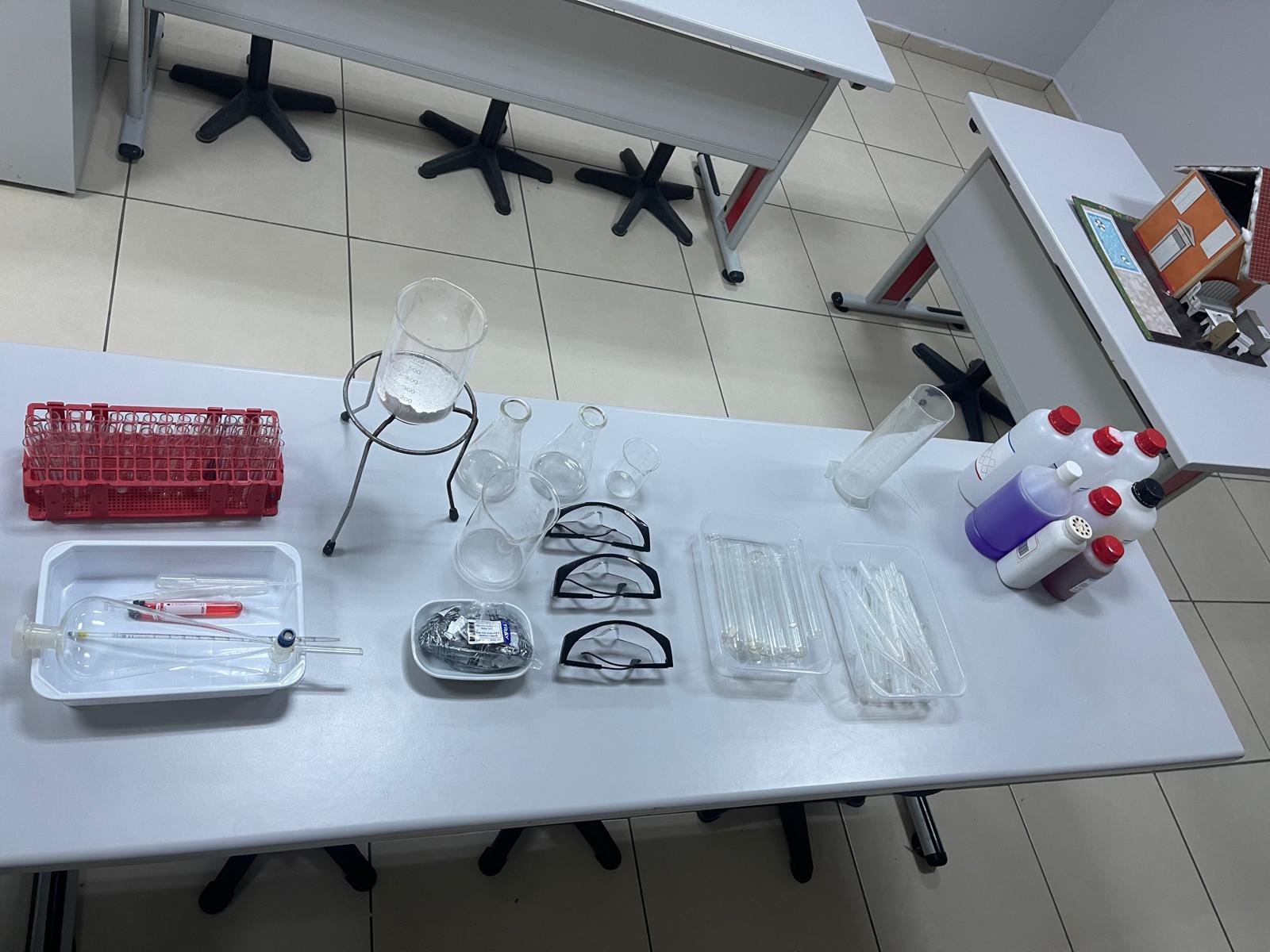 YY FEN LAB 5