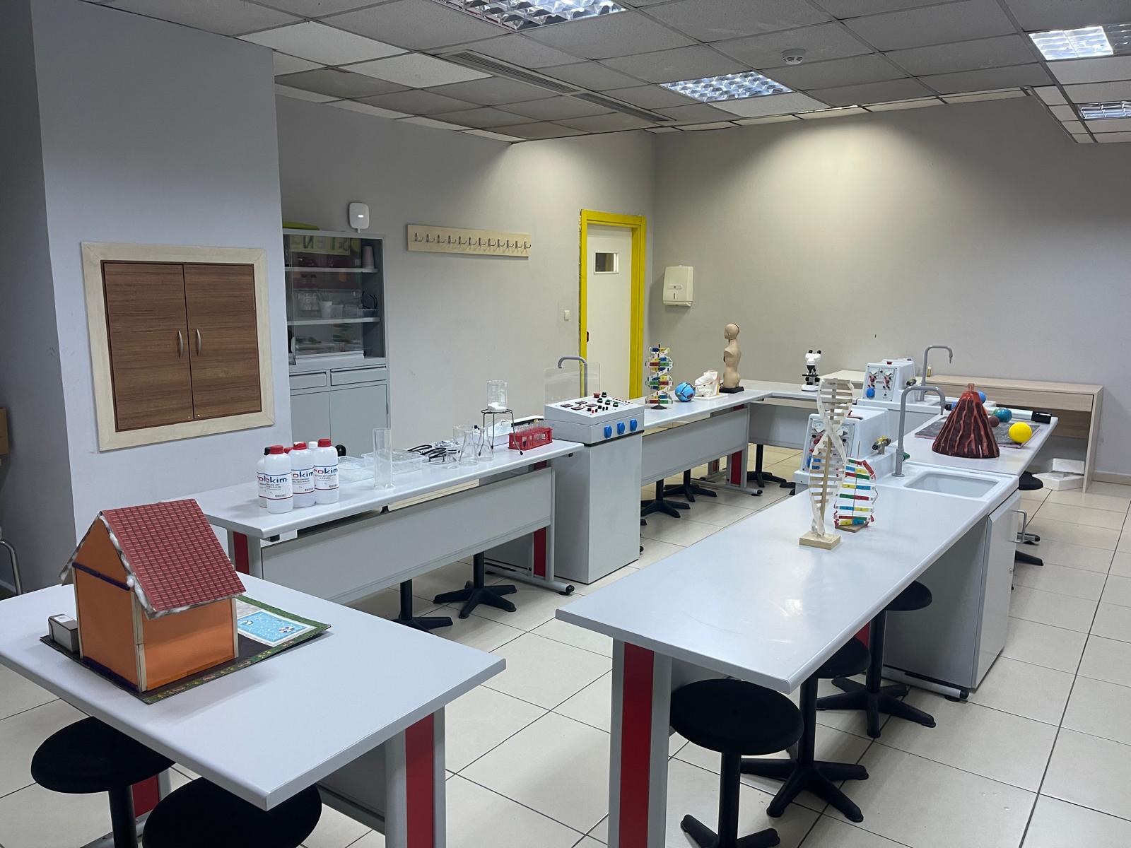 YY FEN LAB 6