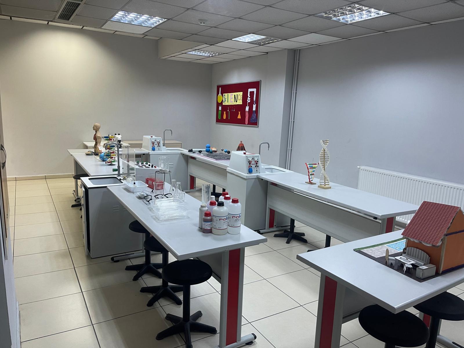 YY FEN LAB 7